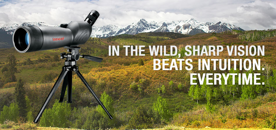 in the wild,sharp vision beats intuition. everytime.